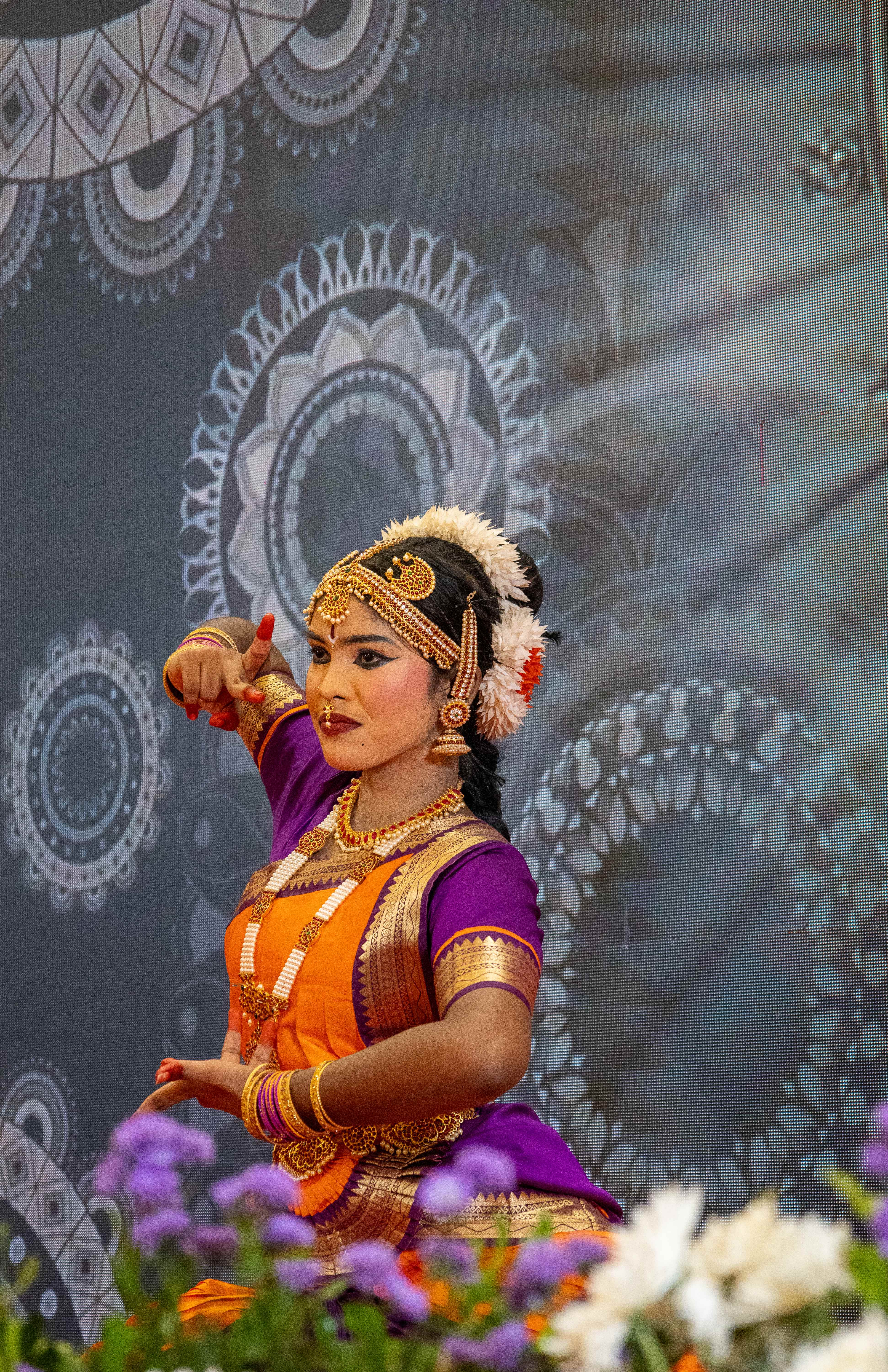 Gallery-Image